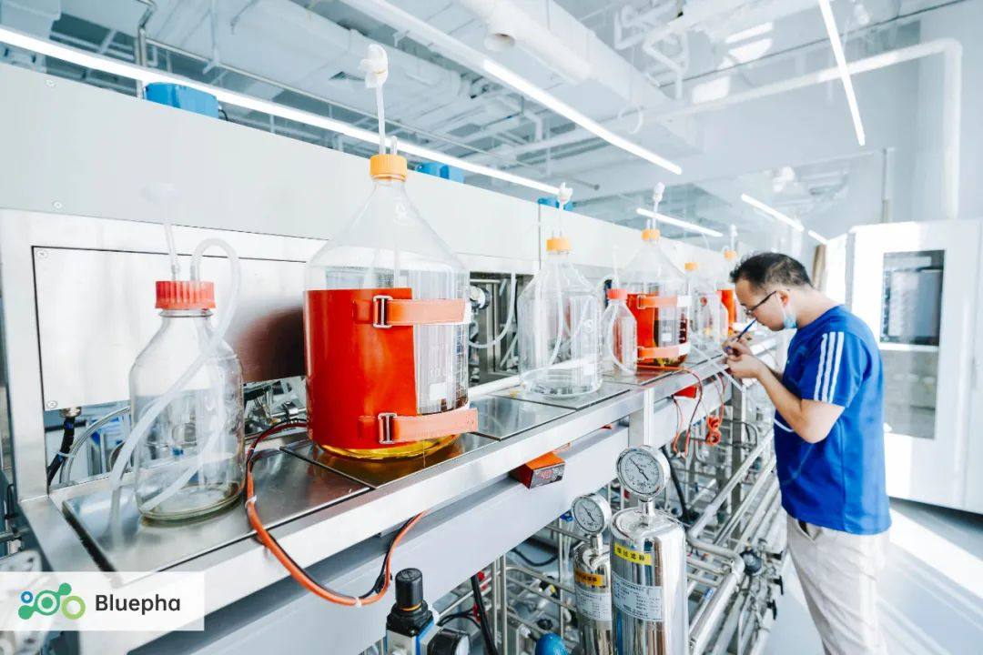 蓝晶微生物完成近2亿元融资,将用于万吨级PHA工厂建设 蓝晶微生物完成近2亿元融资,将用于万吨级PHA工厂建设