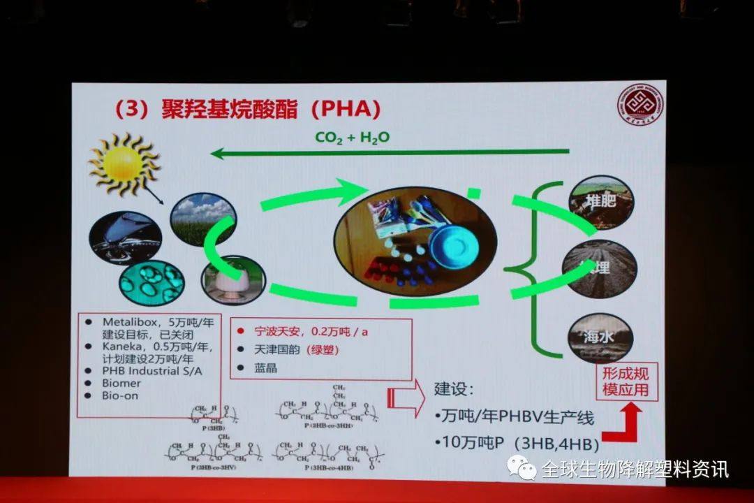 国内外生物降解塑料产业发展现状及其降解性能研究