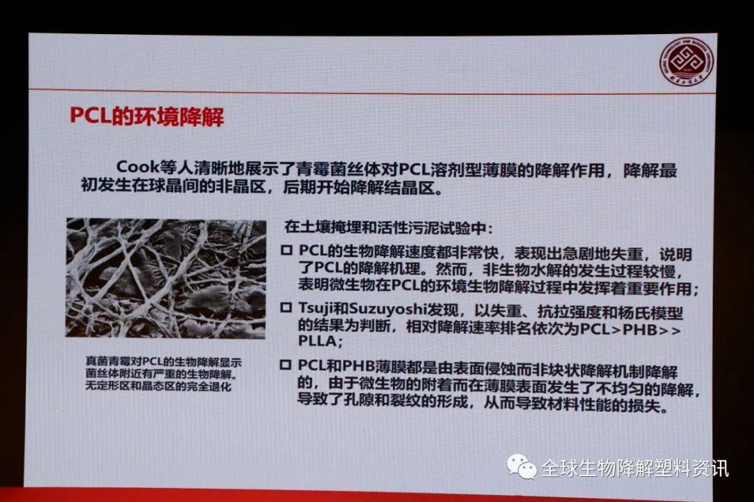 国内外生物降解塑料产业发展现状及其降解性能研究