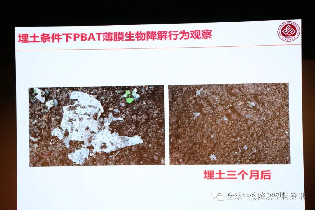 国内外生物降解塑料产业发展现状及其降解性能研究
