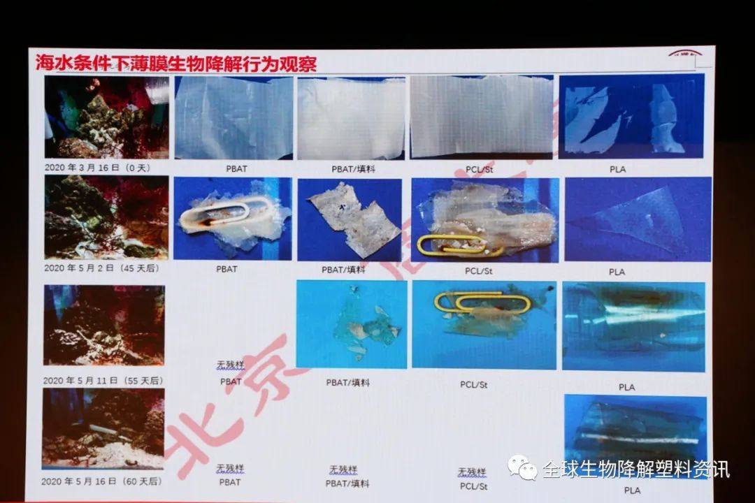国内外生物降解塑料产业发展现状及其降解性能研究