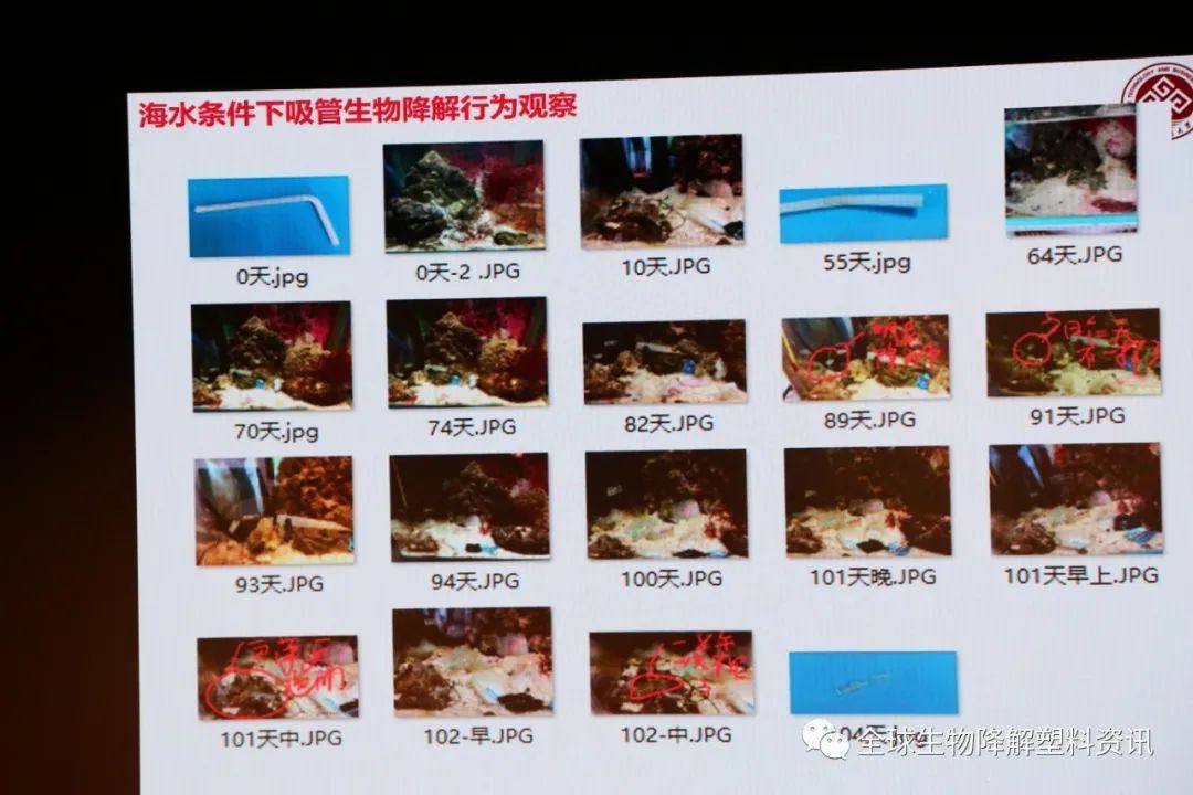 国内外生物降解塑料产业发展现状及其降解性能研究