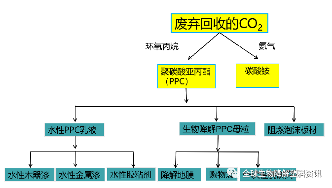 生物降解塑料PPC材料生产企业盘点