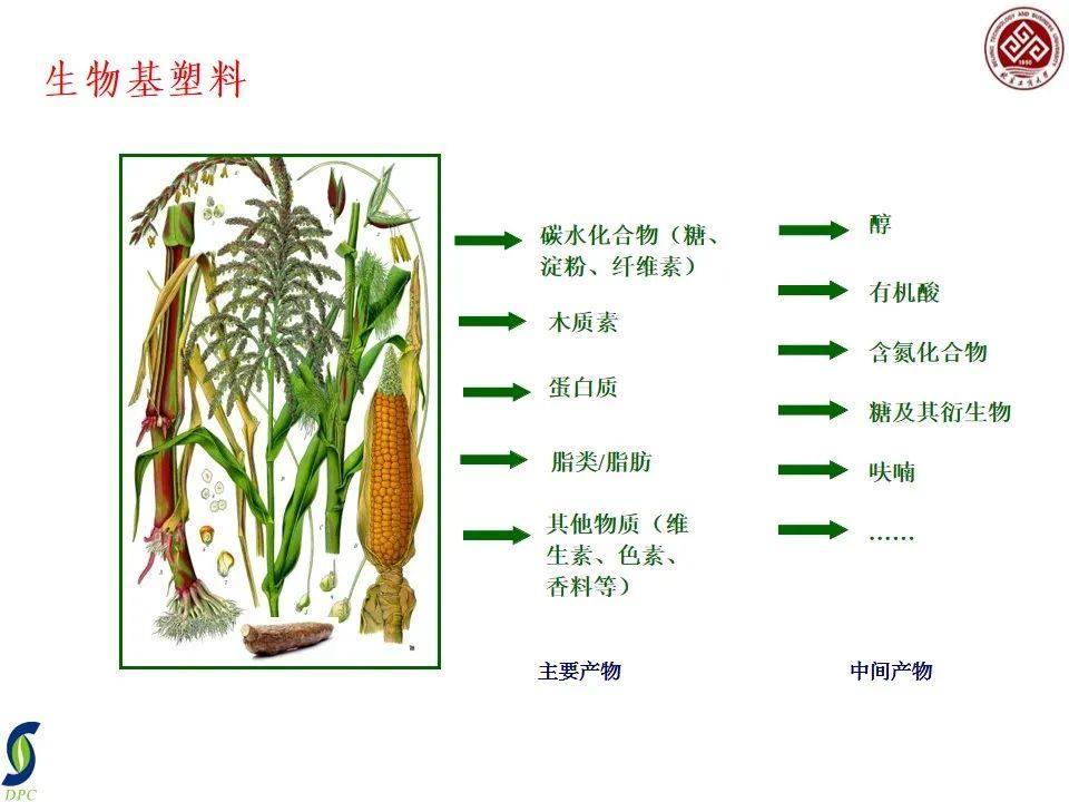 一文了解国内外生物降解塑料产业发展现状及其降解性能研究