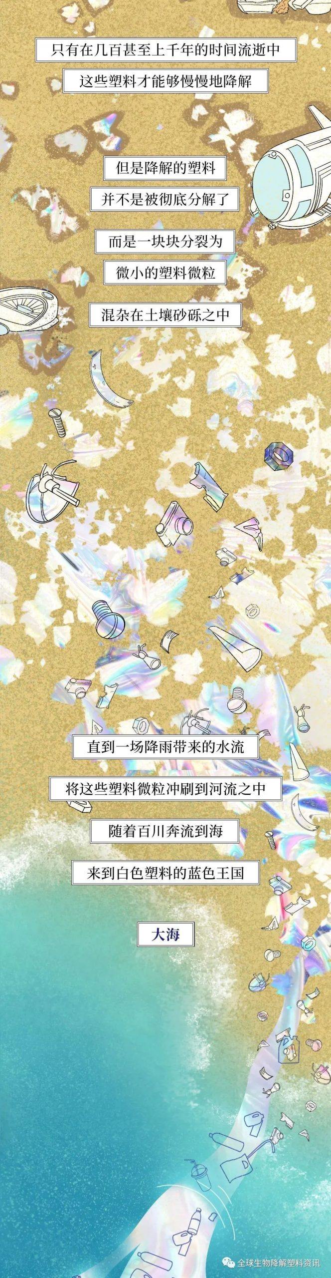 塑料垃圾入侵人体全过程曝光