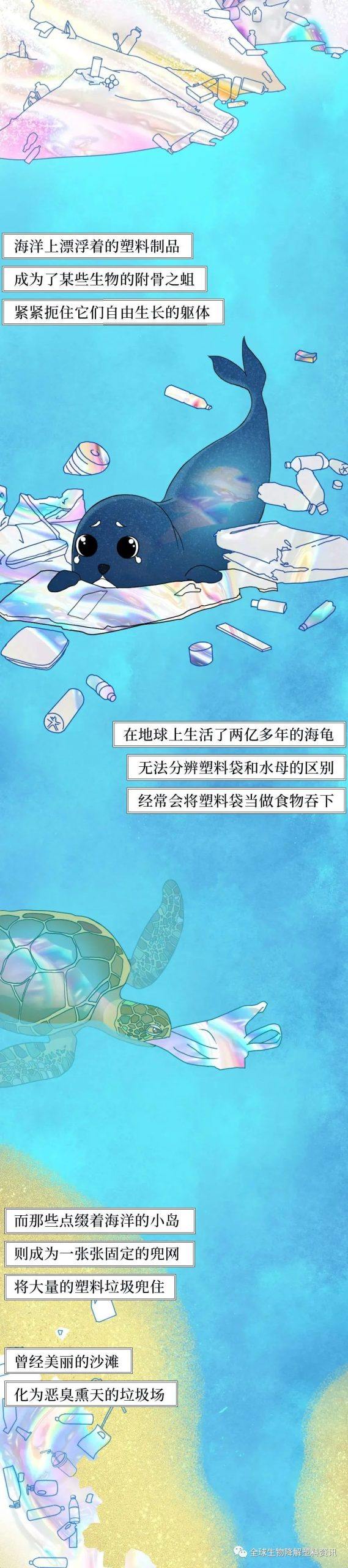 塑料垃圾入侵人体全过程曝光