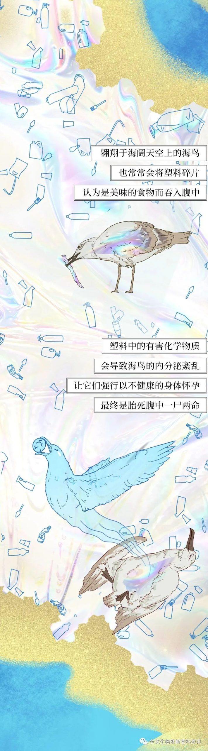 塑料垃圾入侵人体全过程曝光