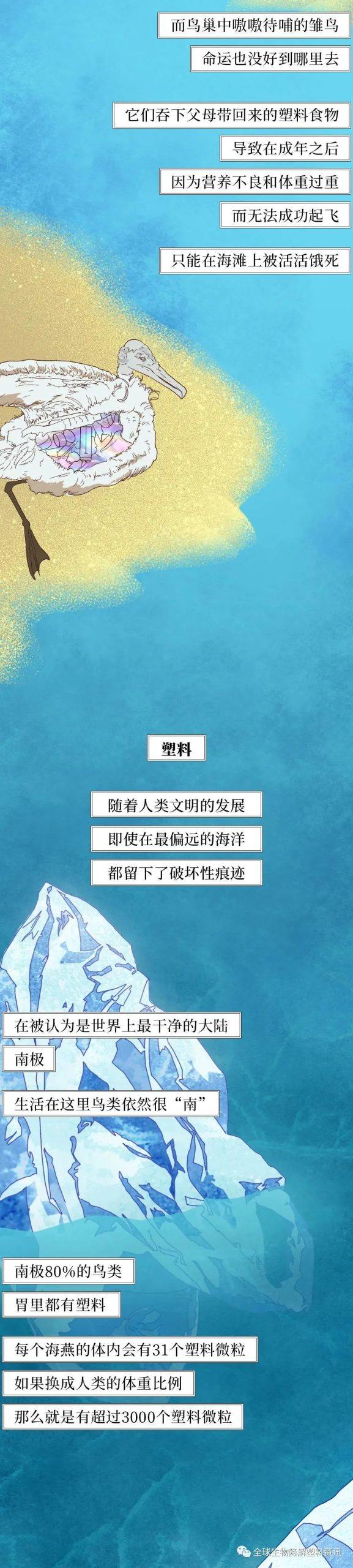 塑料垃圾入侵人体全过程曝光