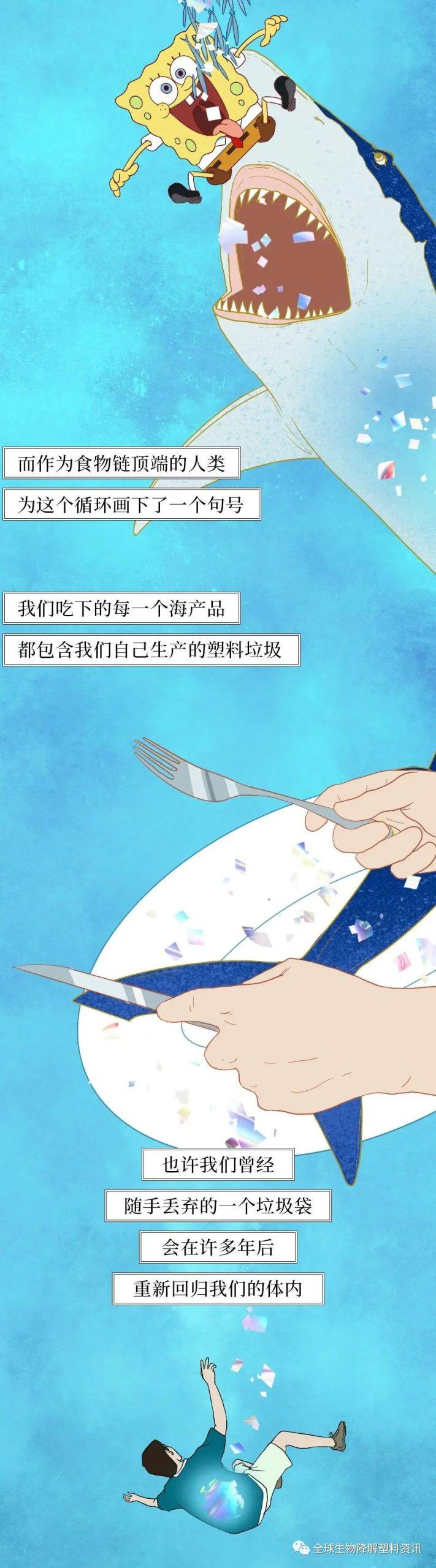 塑料垃圾入侵人体全过程曝光