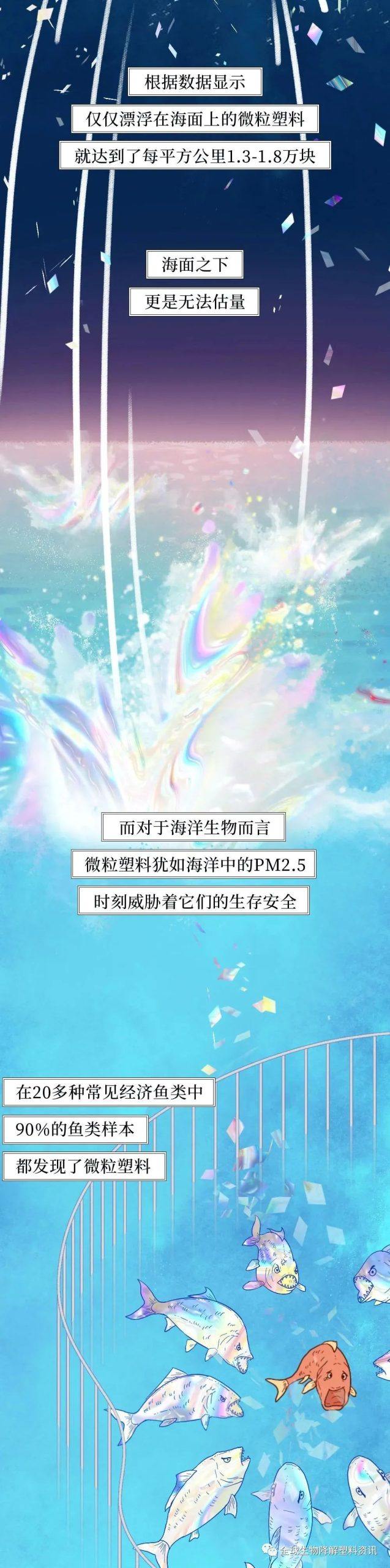 塑料垃圾入侵人体全过程曝光