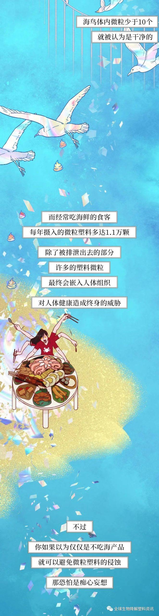 塑料垃圾入侵人体全过程曝光