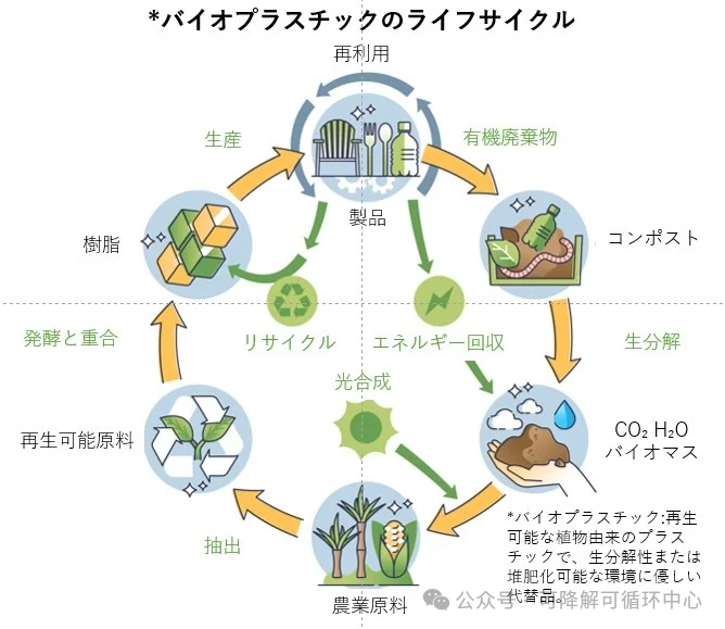 由100%PLA制成的超薄玻璃杯开始商业化