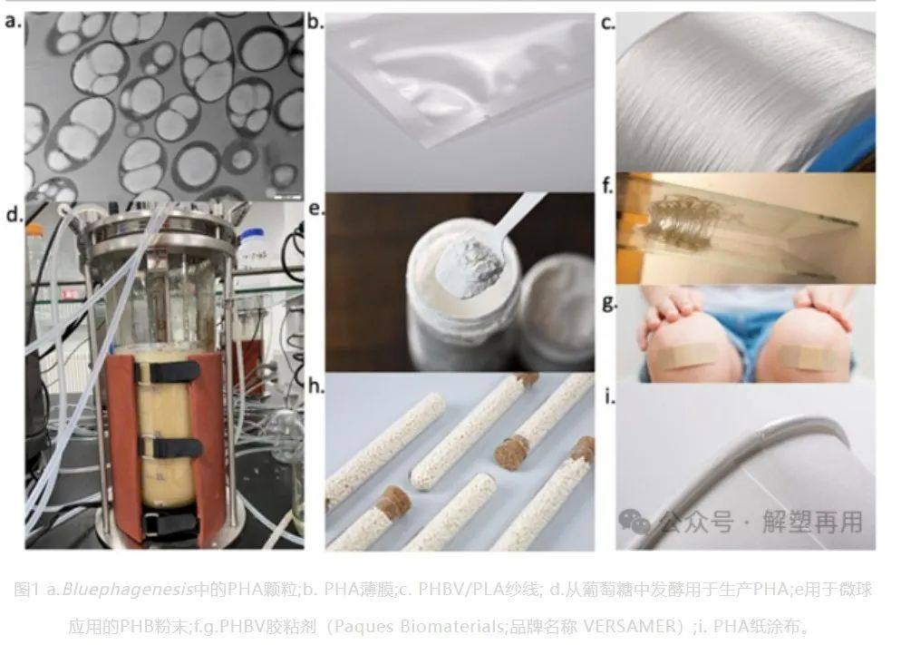 一文了解生物基降解材料（PHA）